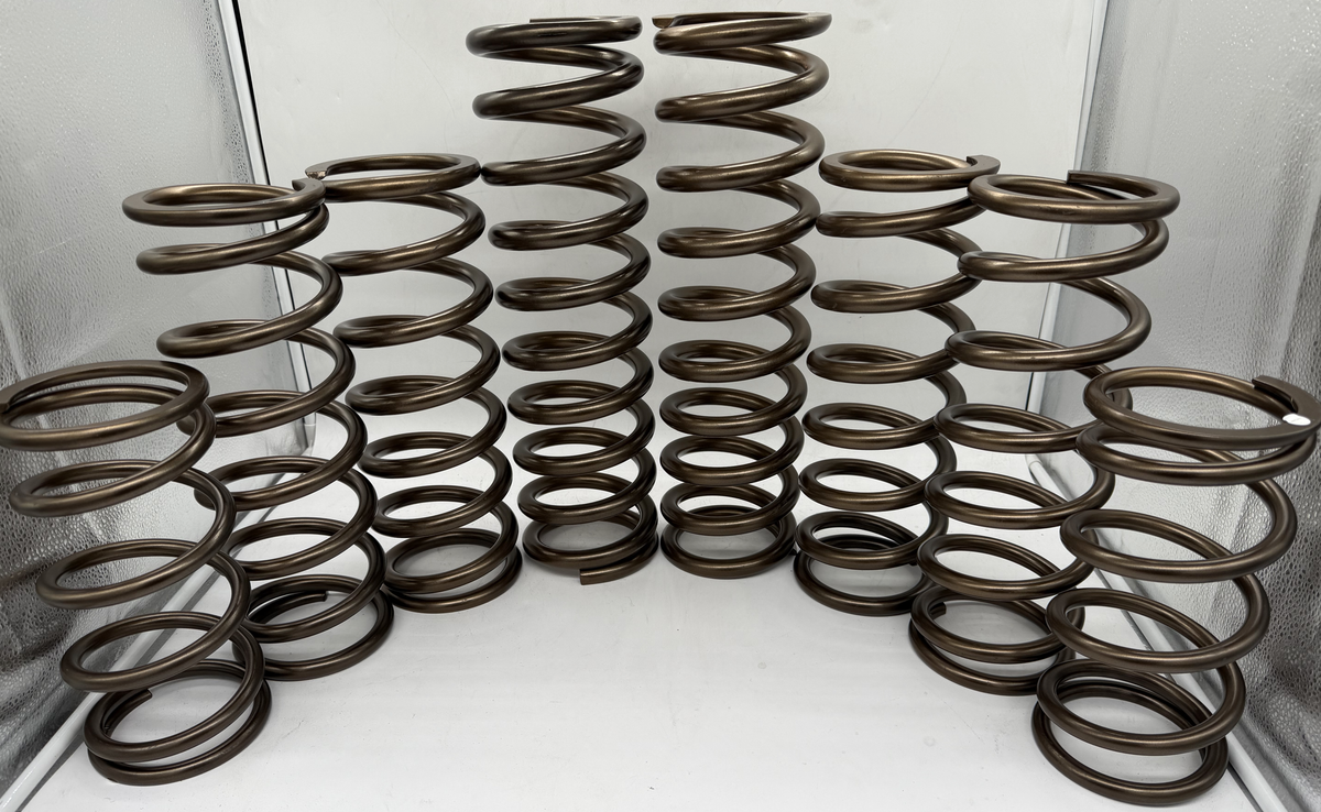 MTS Off-Road dual rate spring kit for the Polaris RZR Pro R, powder coated in Highland Bronze